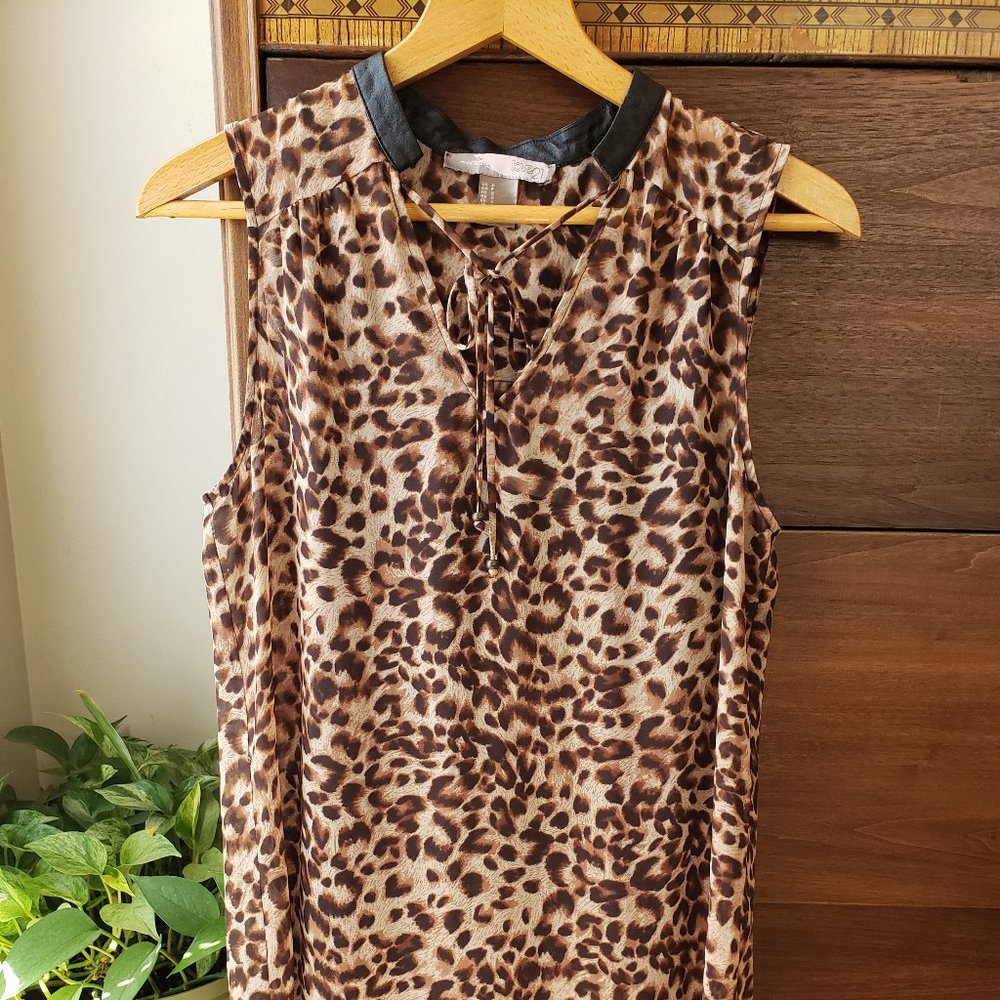Animal Print Sleeveless Dress